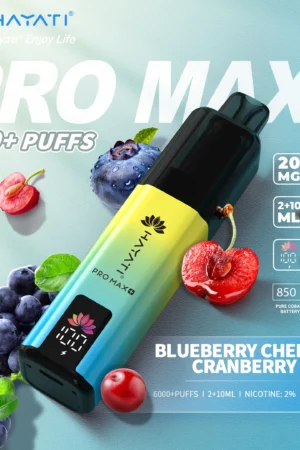 Hayati Pro Max+ 6000 - Blueberry Cherry Cranberry - 2%