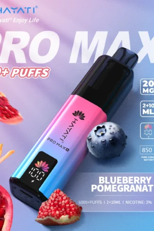 Hayati Pro Max+ 6000 - Blueberry Pomegranate - 2%